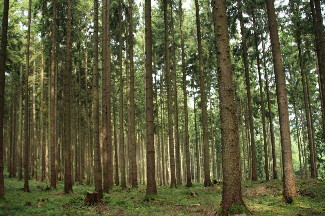 Ferienhaus "Gestiefelter Kater" Am See Im Bergland Кирххайм Екстериор снимка